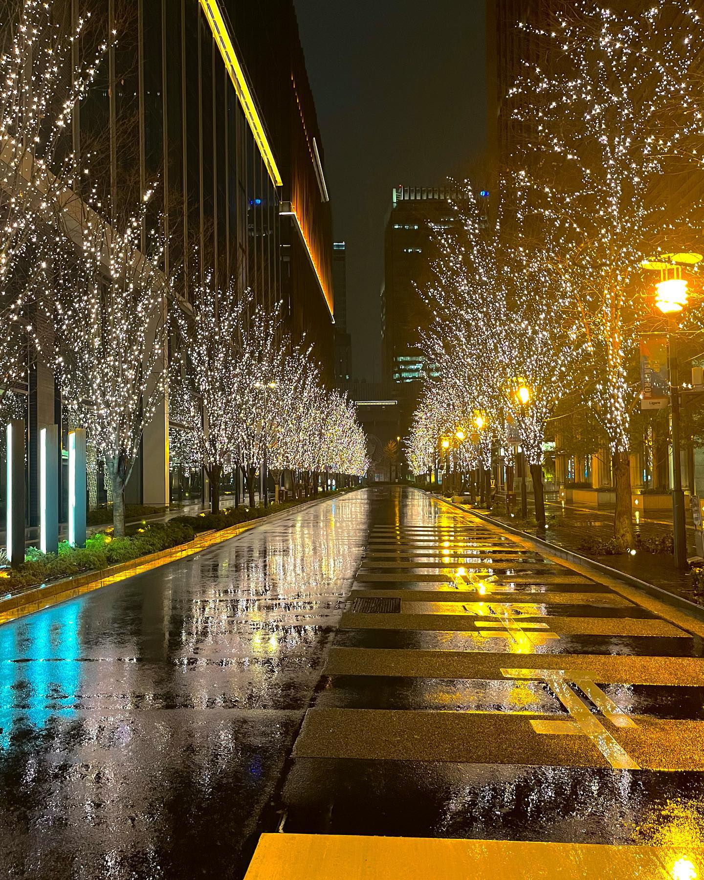 丸の内イルミネーション 丸の内をシェアしよう 丸の内ドットコム