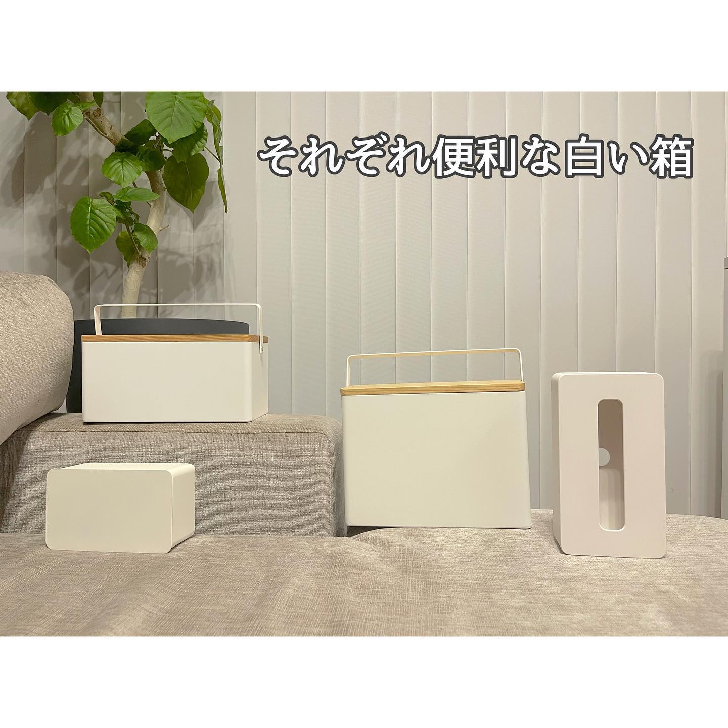 新品】MODERE ロジック 2箱