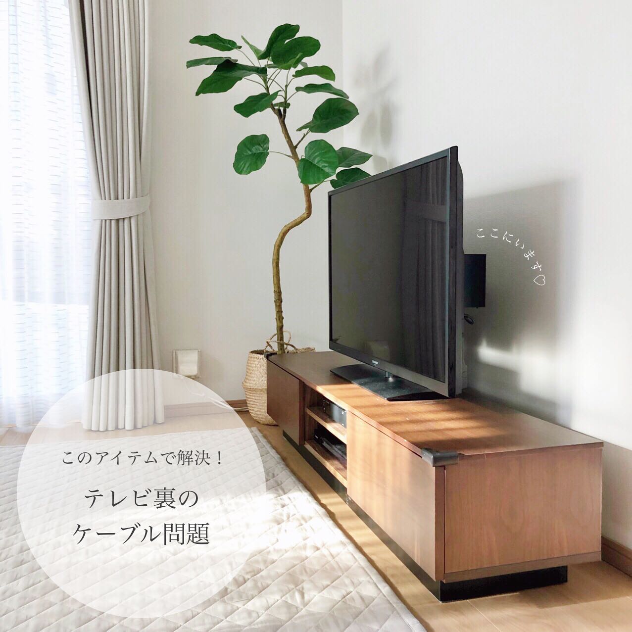 smart】テレビ裏ケーブルボックス ブラック|リビング用品 smart】テレビ裏ケーブルボックス ブラック|リビング用品