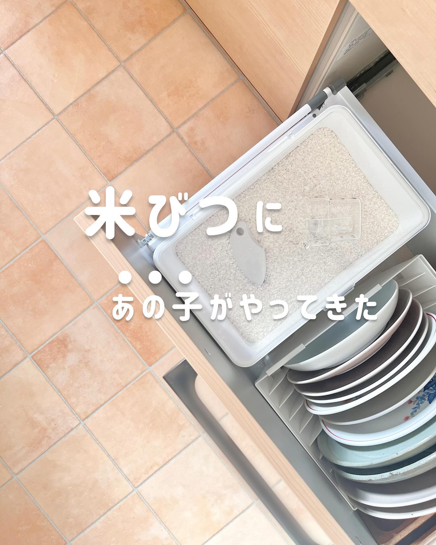 密閉 シンク下米びつ タワー 5kg 計量カップ付 WH｜キッチン