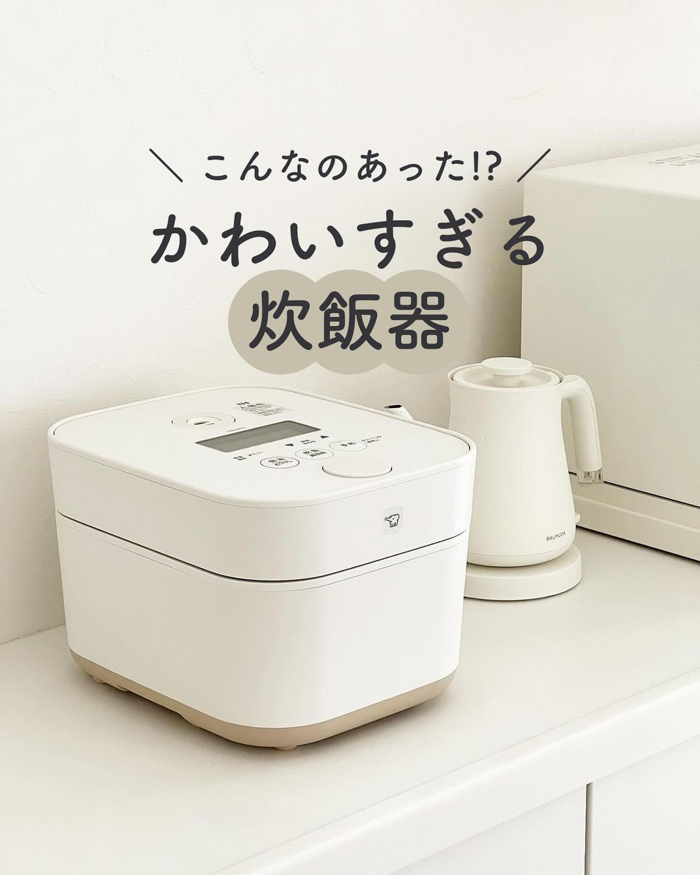 使用10回未満】BALMUDA 炊飯器 使用10回未満】BALMUDA 炊飯器