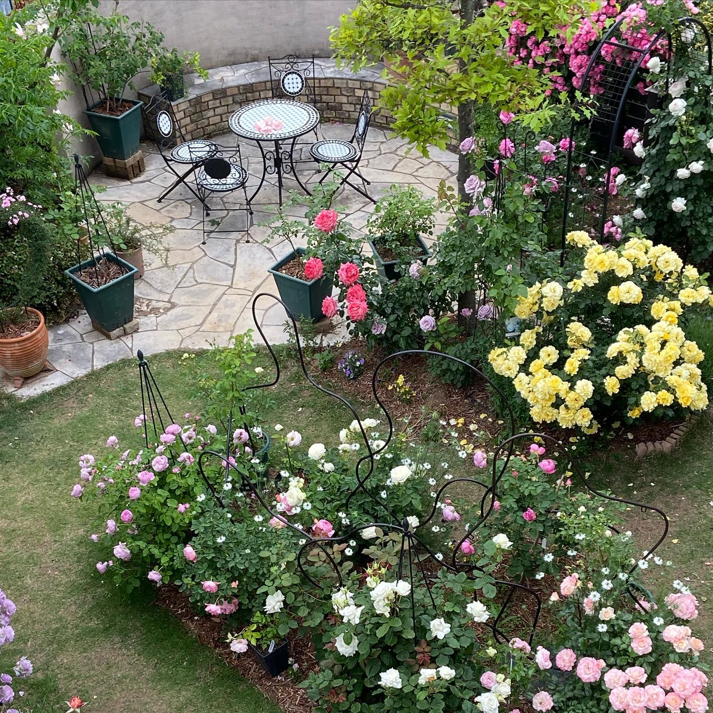 ガーデニングフォトコンテスト21 ホームセンター通販サイト コメリドットコム