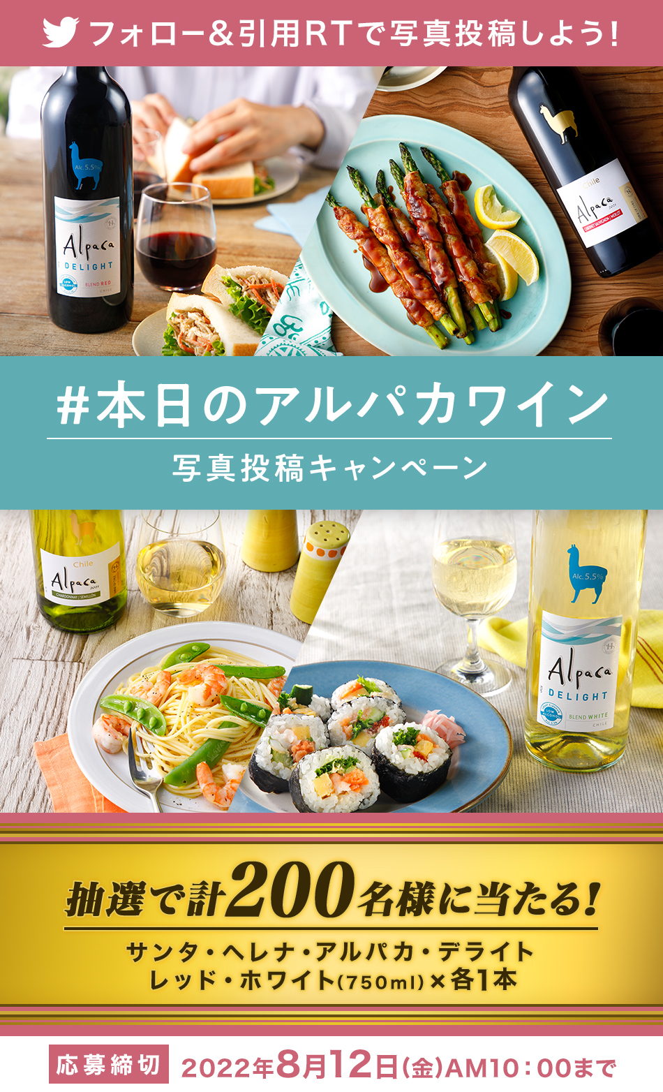 本日のアルパカワイン フォロー 引用rt写真投稿キャンペーン 本日のアルパカワイン フォロー 引用rt写真投稿キャンペーン